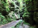 2010-06-12, Uttewalder Grund (18)